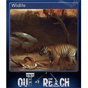Wildlife (Trading Card)