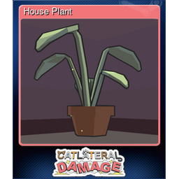 House Plant