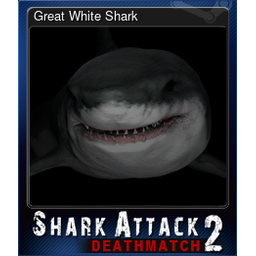 Great White Shark