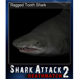 Ragged Tooth Shark