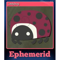 Ladybug