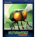 Housefly