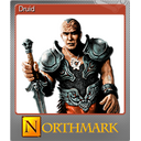 Druid (Foil)