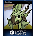 Seedling