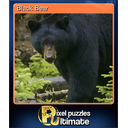 Black Bear