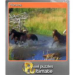 Horses (Foil)