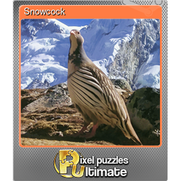 Snowcock (Foil)