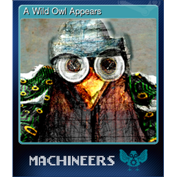 A Wild Owl Appears