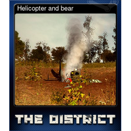 Helicopter and bear