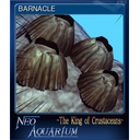 BARNACLE