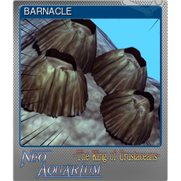 BARNACLE (Foil)