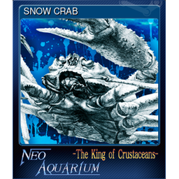 SNOW CRAB