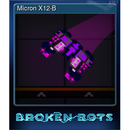 Micron X12-B