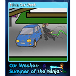 Ninja Car Wash