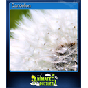 Dandelion (Trading Card)