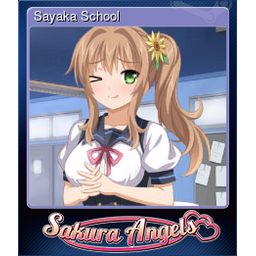 Sayaka School