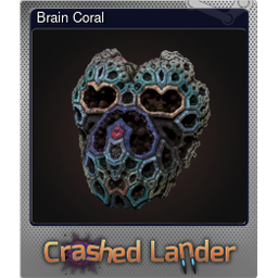 Brain Coral (Foil)