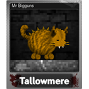 Mr Bigguns (Foil)