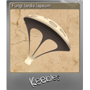 Fungi tardis lapsum (Foil)