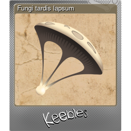 Fungi tardis lapsum (Foil)