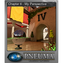 Chapter 6 - My Perspective (Foil)