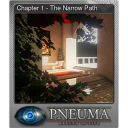 Chapter 1 - The Narrow Path (Foil)