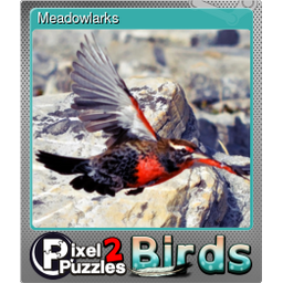 Meadowlarks (Foil)