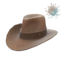 Unusual Hat With No Name
