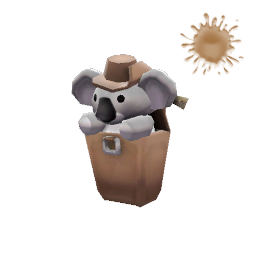 Koala Compact