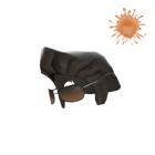 content image