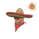 Unusual Wide-Brimmed Bandito