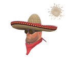 Unusual Wide-Brimmed Bandito