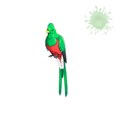 Strange Quizzical Quetzal