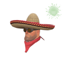 Unusual Wide-Brimmed Bandito