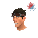 Unusual Antarctic Eyewear