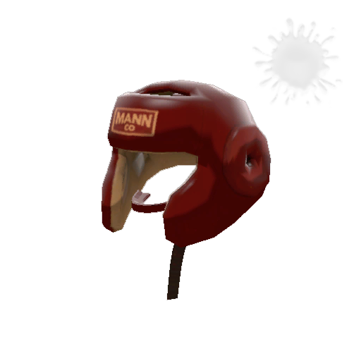 Pugilist's Protector