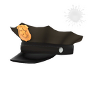 Unusual Law