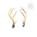 Unusual Exquisite Rack