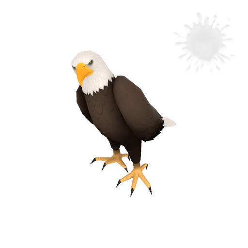 Private Maggot Muncher