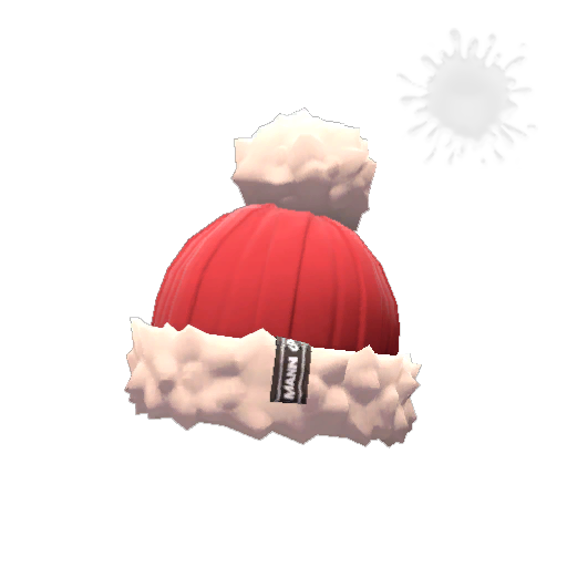 Professional's Pom-Pom