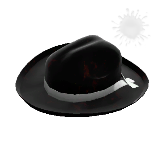 Sunbeams Buckaroo's Hat