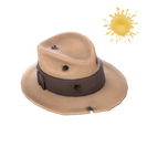Unusual Fed-Fightin' Fedora