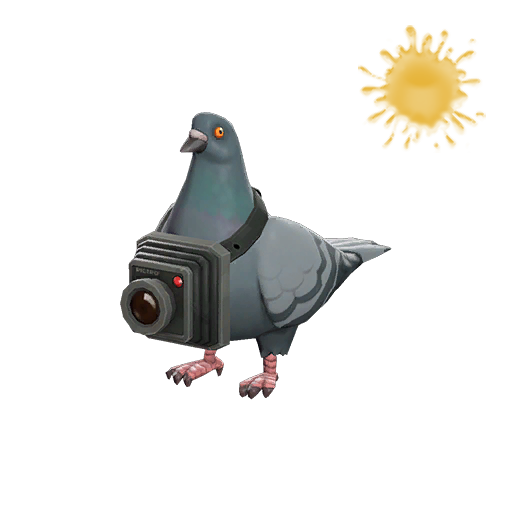Bird's Eye Viewer