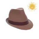 Unusual Fancy Fedora