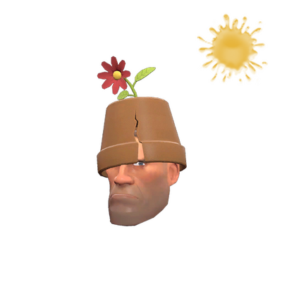 Unusual Crack Pot