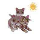 Strange Catastrophic Companions