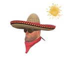 Unusual Wide-Brimmed Bandito