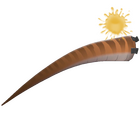 content image