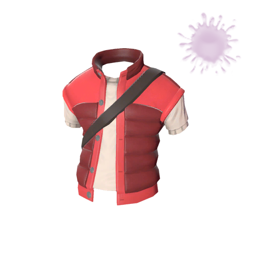 Delinquent's Down Vest