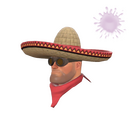Unusual Wide-Brimmed Bandito